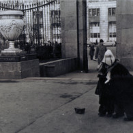 Мария Левоновна Бархударян в саду «Аквариум». Около 1957 года.
